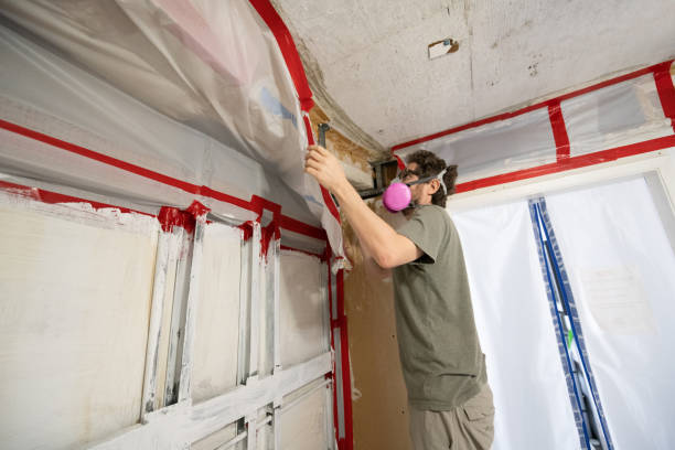 Mold Remediation for Vacation Homes in Pen Argyl, PA